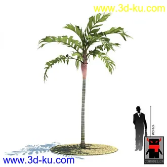 3D打印模型热带植物2的图片