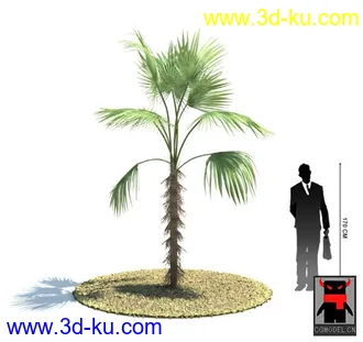 3D打印模型热带植物2的图片