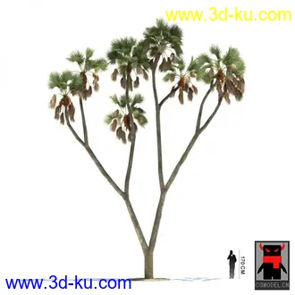 3D打印模型热带植物2的图片