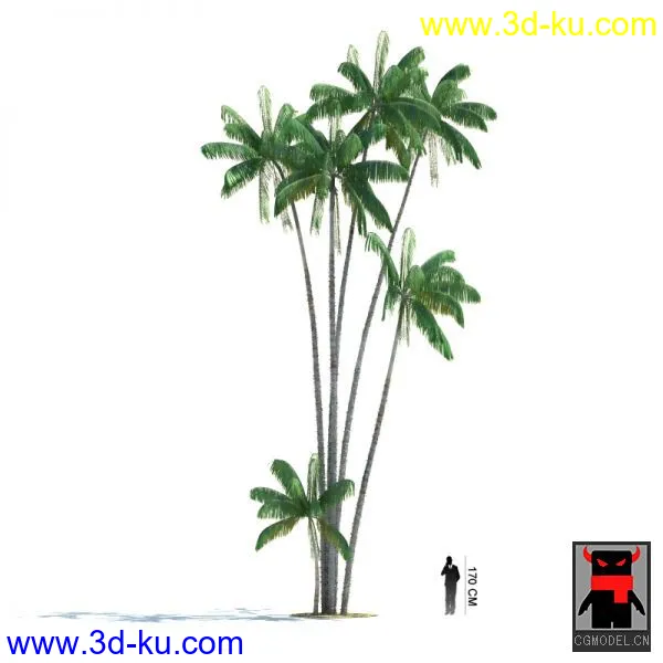 热带植物2模型的图片11