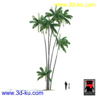 3D打印模型热带植物2的图片