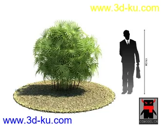 3D打印模型热带植物2的图片