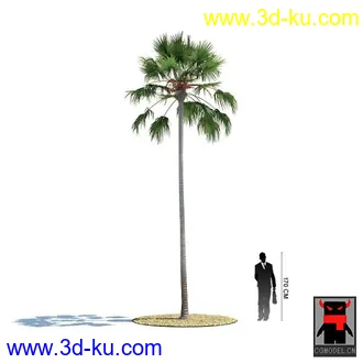 3D打印模型热带植物2的图片