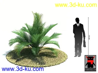 3D打印模型热带植物2的图片