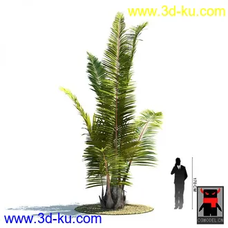 3D打印模型热带植物2的图片