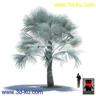 3D打印模型热带植物2的图片