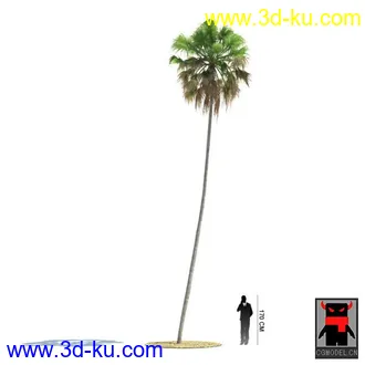 3D打印模型热带植物2的图片