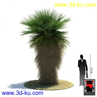 3D打印模型热带植物2的图片