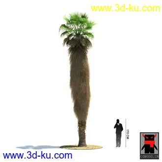 3D打印模型热带植物2的图片