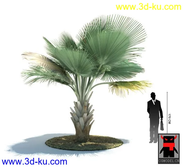 热带植物2模型的图片25