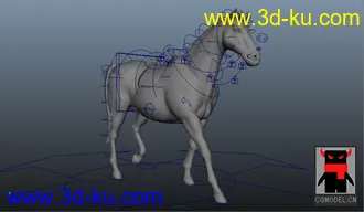自己简单做的马模型动画的图片