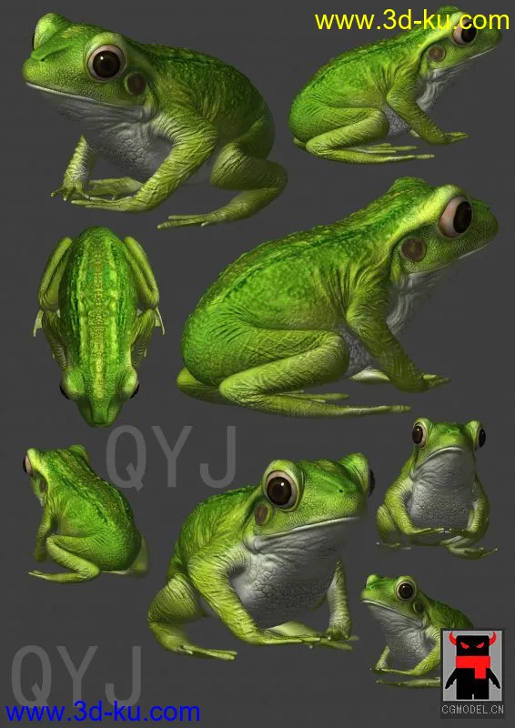 青蛙模型一只的图片2