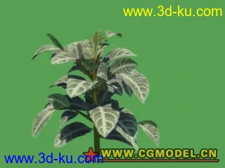 3D打印模型一棵植物，重在贴图的图片