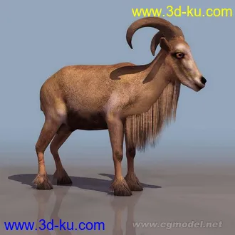 高精度山羊动物昆虫模型的图片