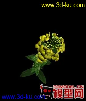 3D打印模型油菜花的图片