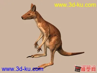 3D打印模型袋鼠的图片
