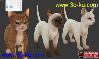 3D打印模型三只可爱的猫咪哦～的图片
