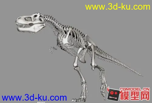 恐龙动态视频～模型的图片2