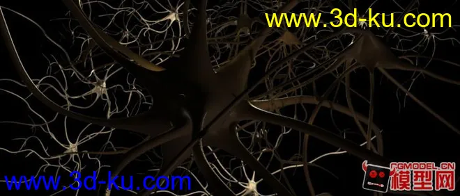 大脑神经，超级写实模型的图片1