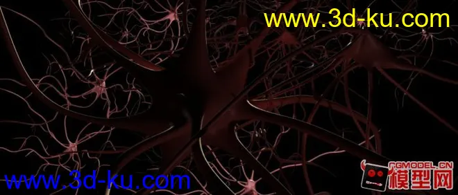 大脑神经，超级写实模型的图片2