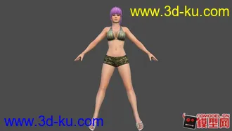 死或生5全女性角色泳装模型！！的图片