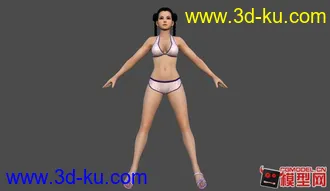 死或生5全女性角色泳装模型！！的图片