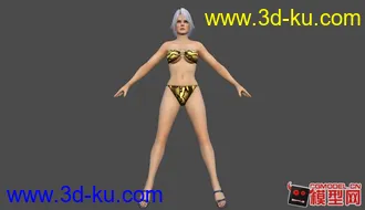 死或生5全女性角色泳装模型！！的图片