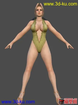死或生5全女性角色泳装模型！！的图片