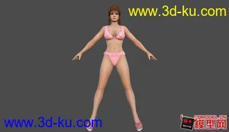 死或生5全女性角色泳装模型！！的图片