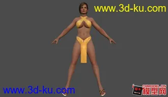 死或生5全女性角色泳装模型！！的图片