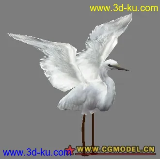 3D打印模型白鹭的几个动作的图片