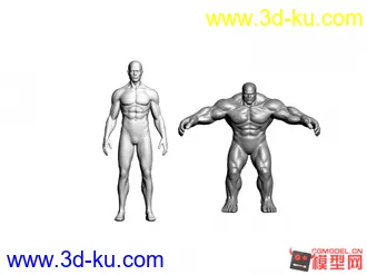 3D打印模型正常人体比例的图片