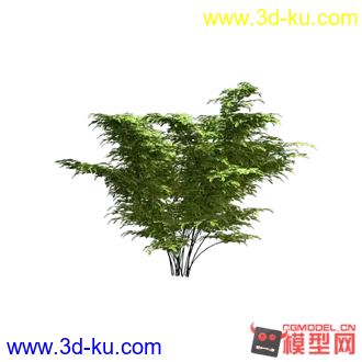 3D打印模型灌木高模_带灯光贴图的图片