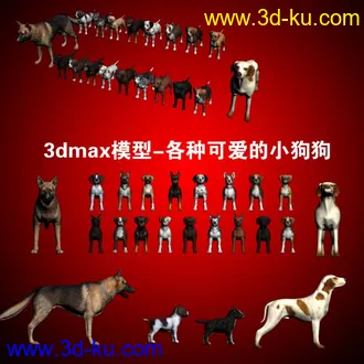 3dmax模型-各种可爱的小狗狗的图片
