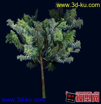 一大堆的植物模型的图片