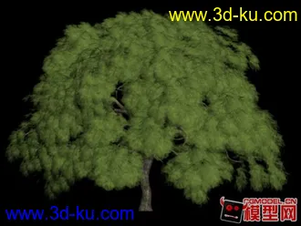 3D打印模型枫树的图片