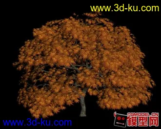 3D打印模型红枫的图片