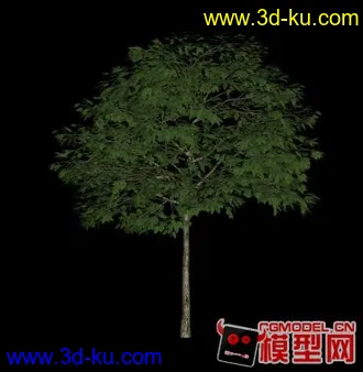 3D打印模型花楸树的图片