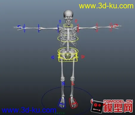 绑定好的骷髅模型的图片1