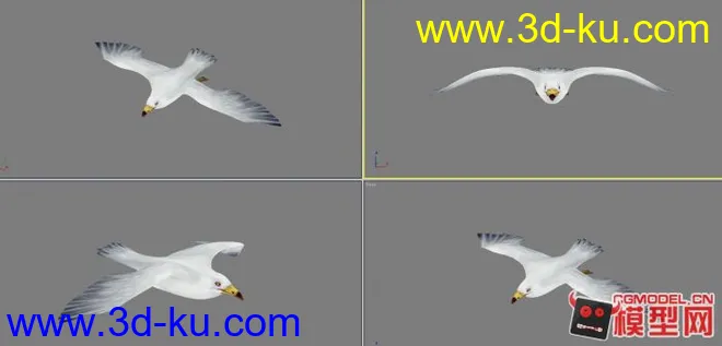 海鸥鸟模型的图片1