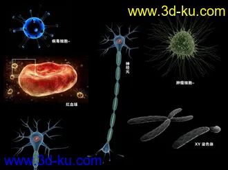 3D打印模型细胞的图片