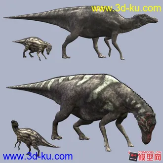 3D打印模型慈母龙的图片