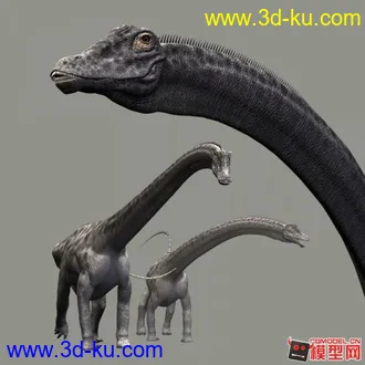 3D打印模型梁龙的图片