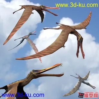 3D打印模型亞氏翼龙的图片
