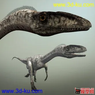 3D打印模型腔骨龙的图片