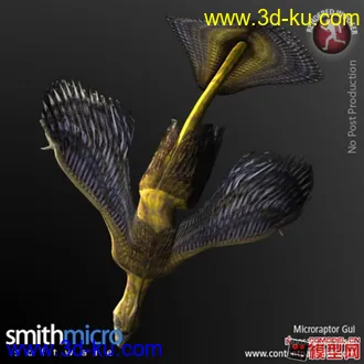 3D打印模型顾氏小盗龙的图片
