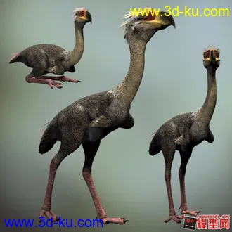 3D打印模型恐鹤的图片