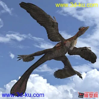 3D打印模型小盗龙.的图片