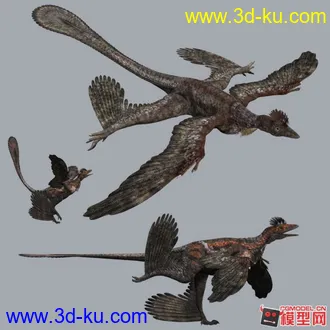 3D打印模型小盗龙.的图片