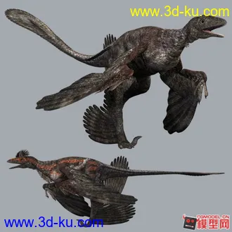 3D打印模型小盗龙.的图片